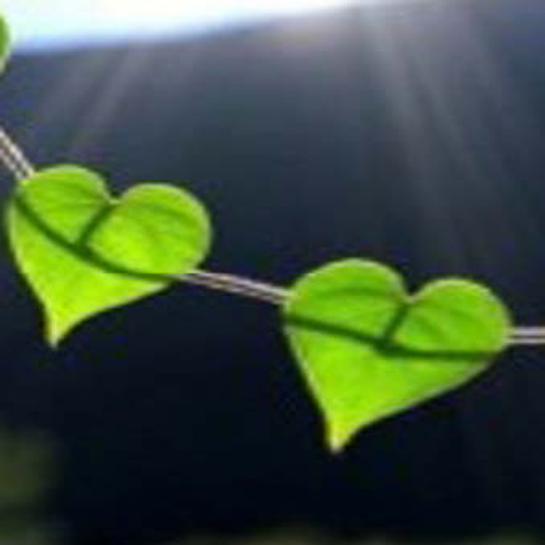Green Essence