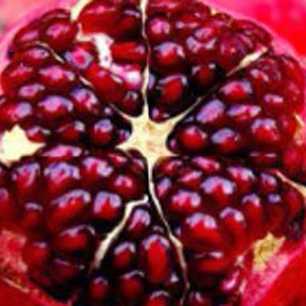 Pomegranate Essence